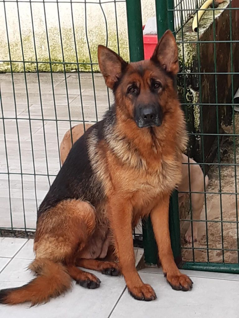 Tara des cascades de lusy