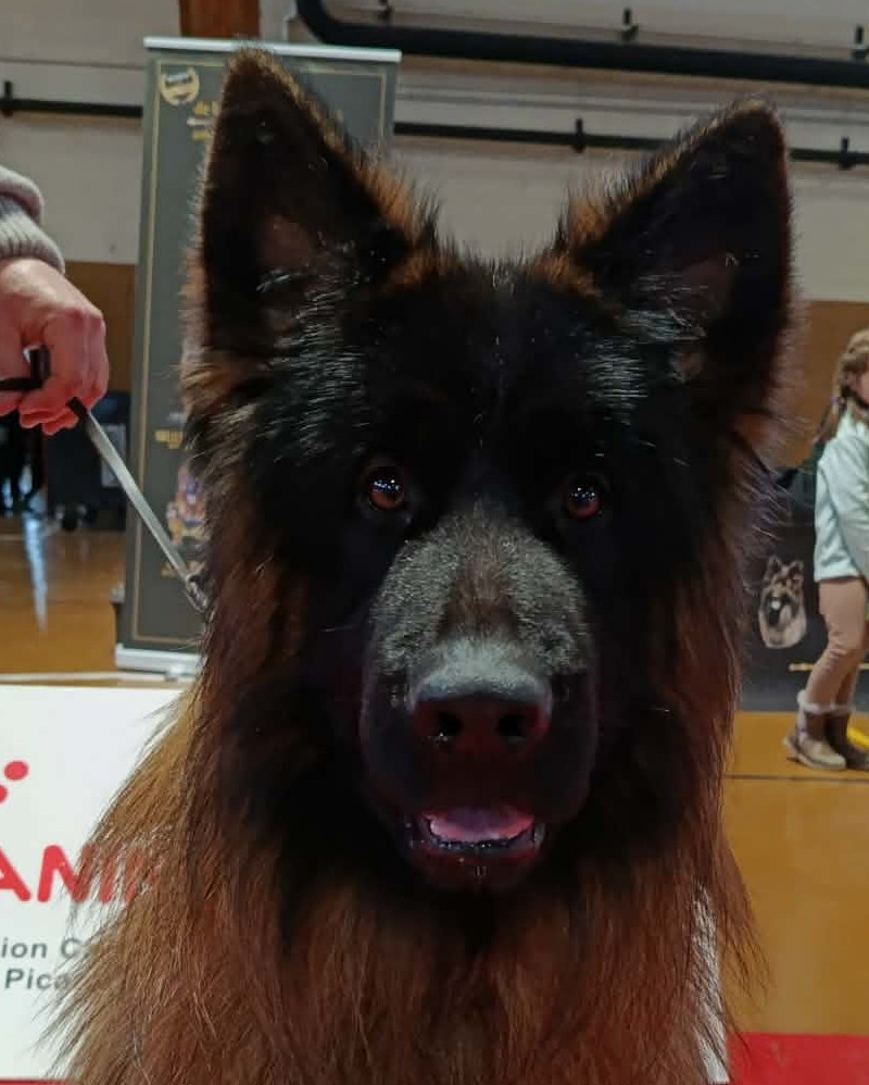 Vauban des cascades de lusy