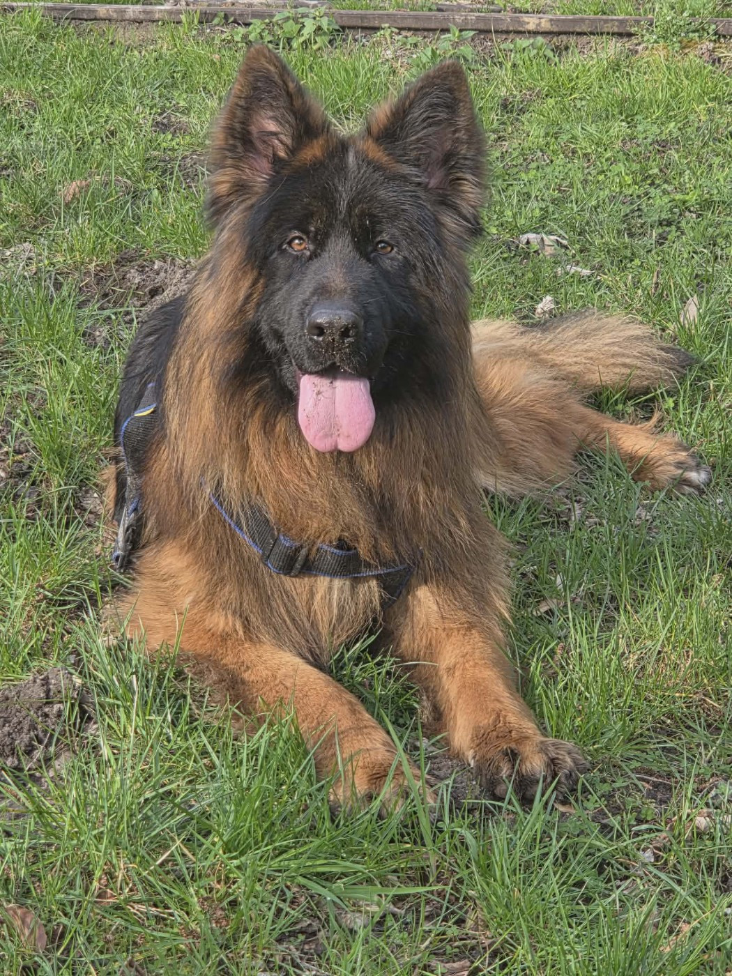 Vauban des cascades de lusy