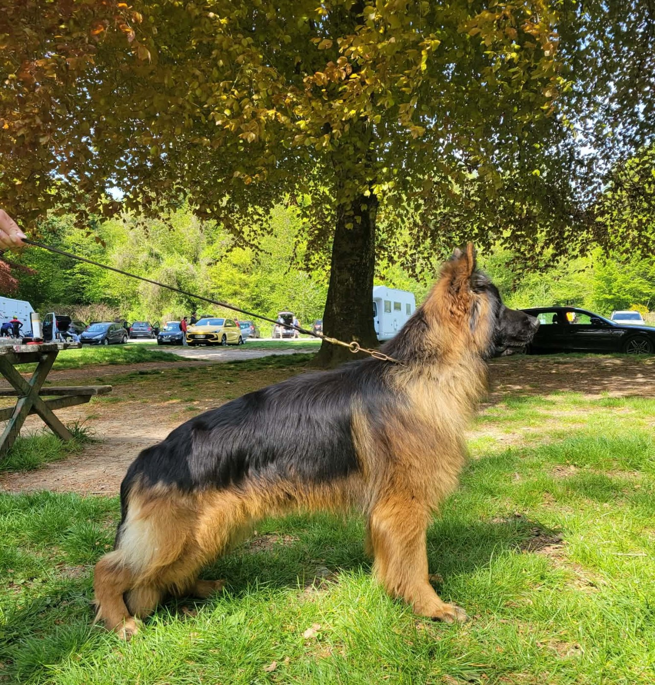 Vauban des cascades de lusy